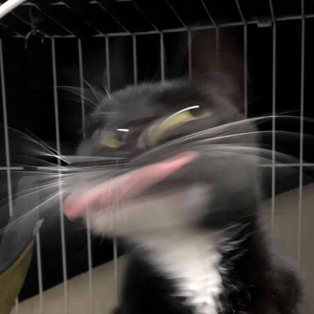 不爽就大叫