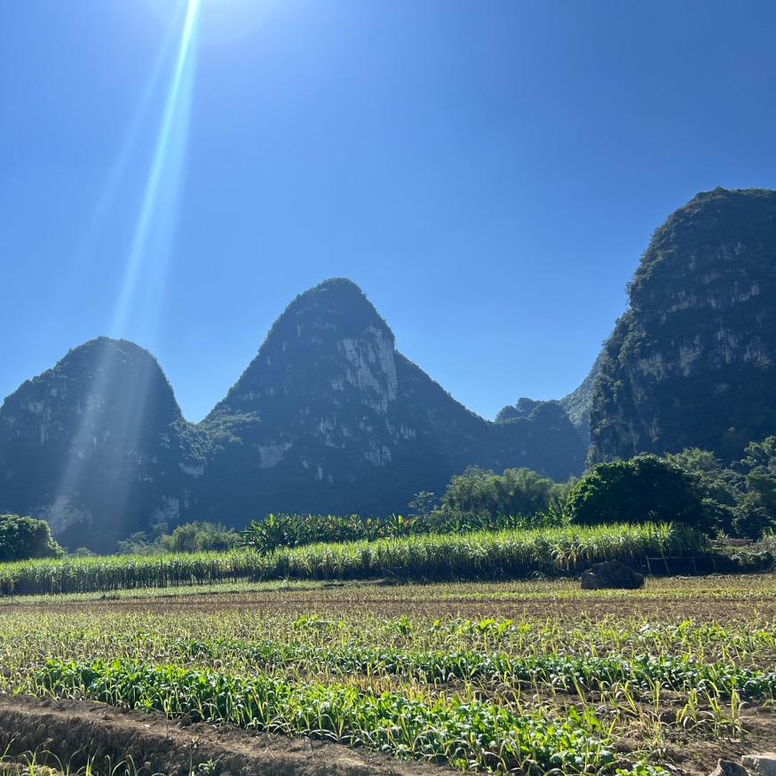 一亩三分地果蔬