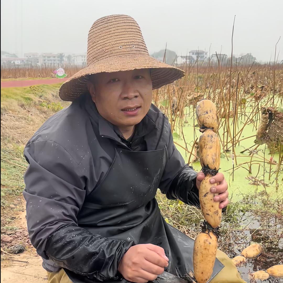 老张的藕粉很正宗