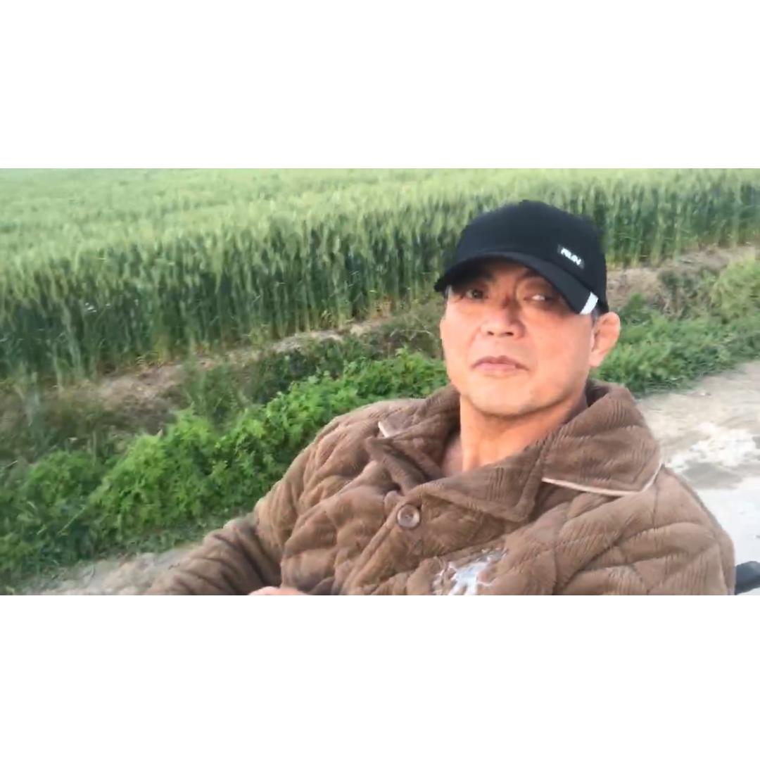 人生如梦，梦如人生。