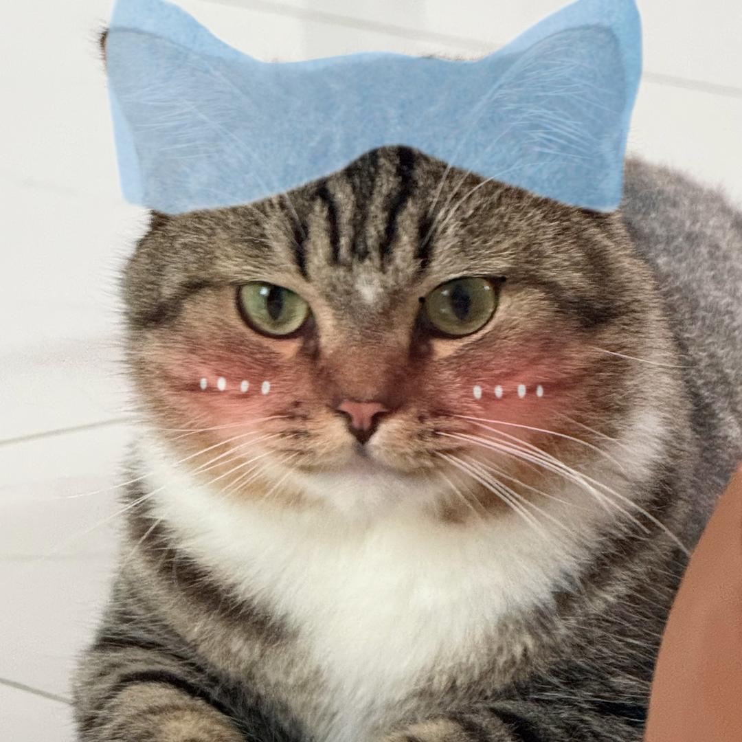 呆头呆虎（努力跳舞版）