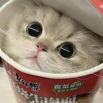 七七