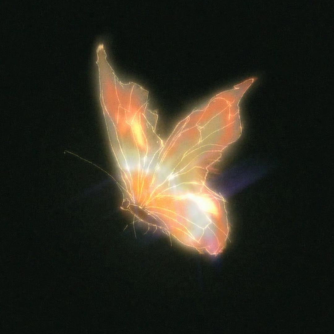 🦋.