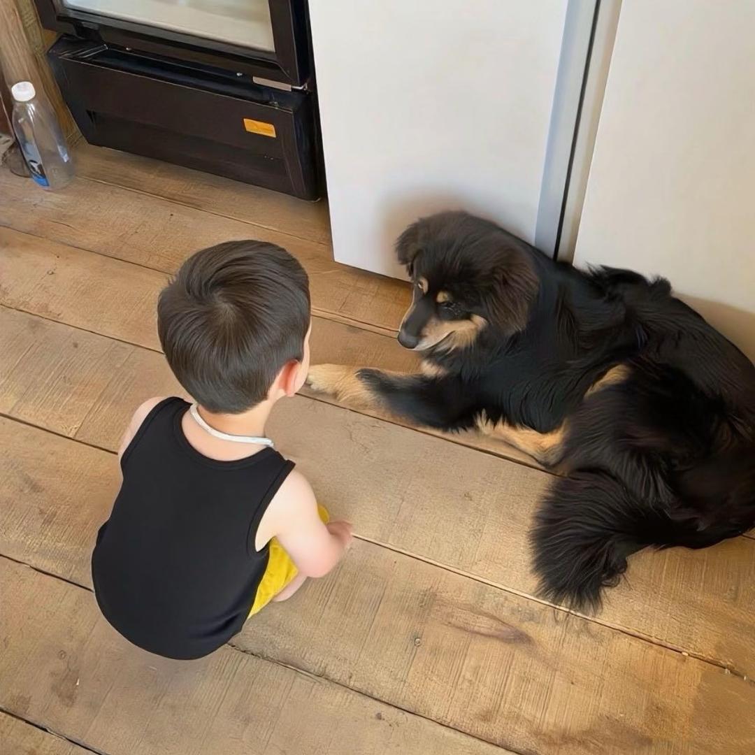 恩俊