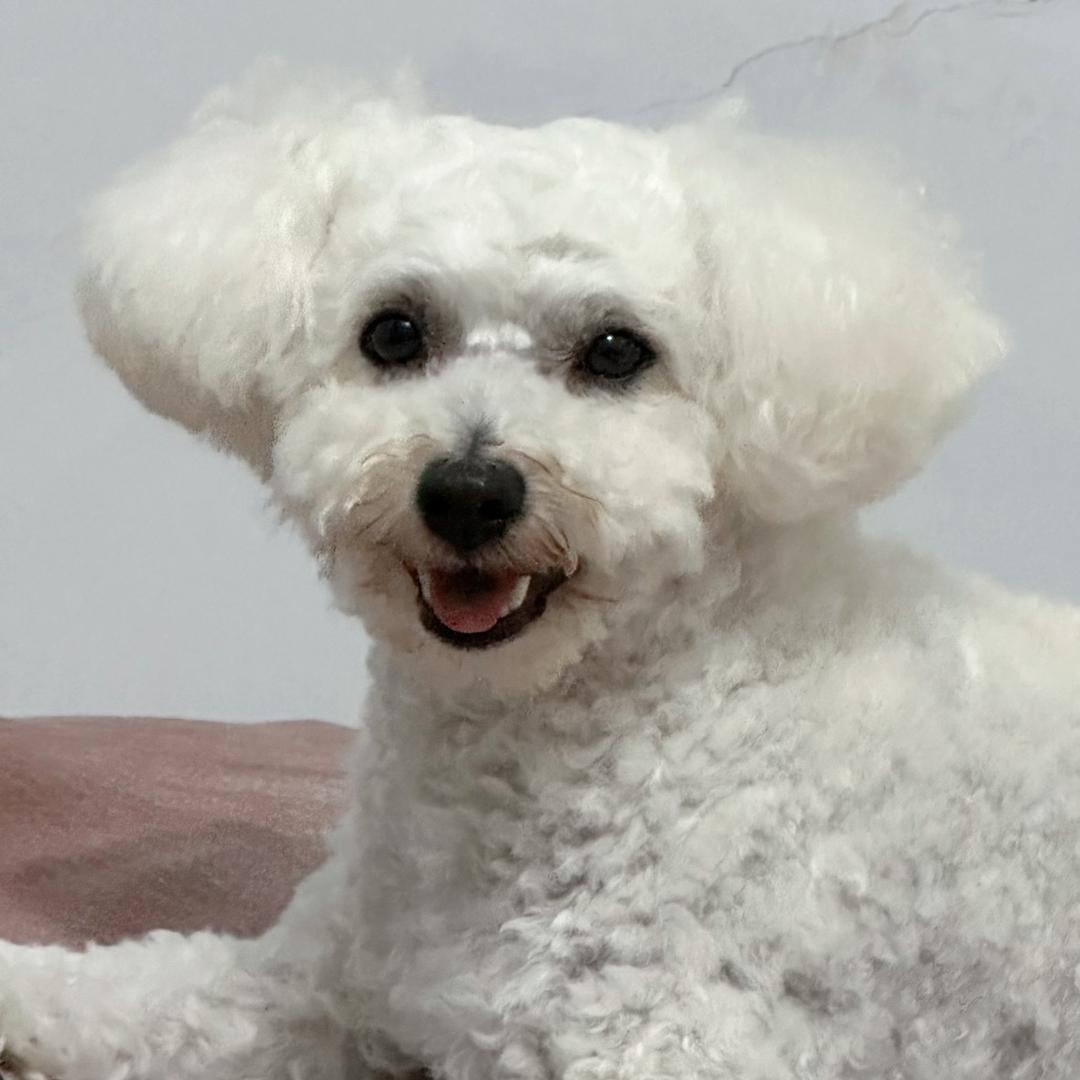 深情第一人