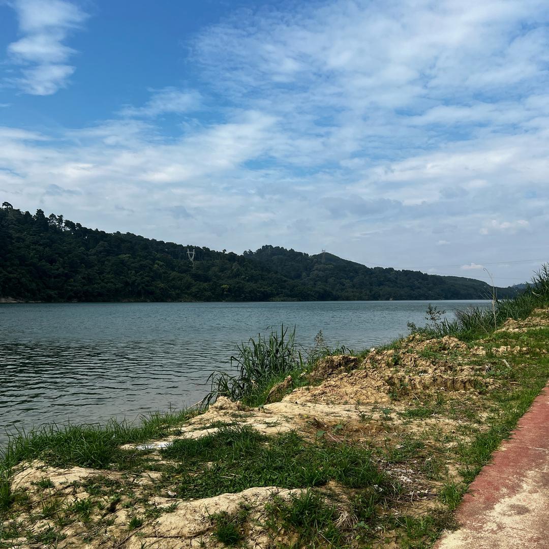 鲫鱼（自驾穷游流浪中）