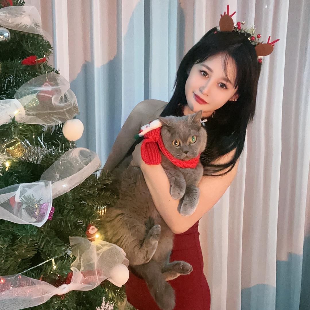 捧猫少女🐱
