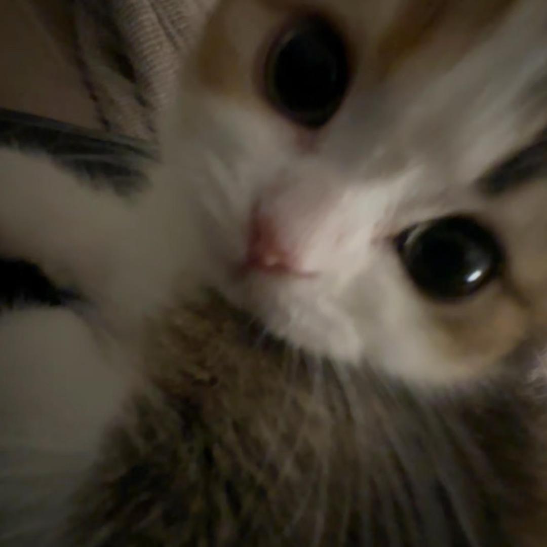 天真
