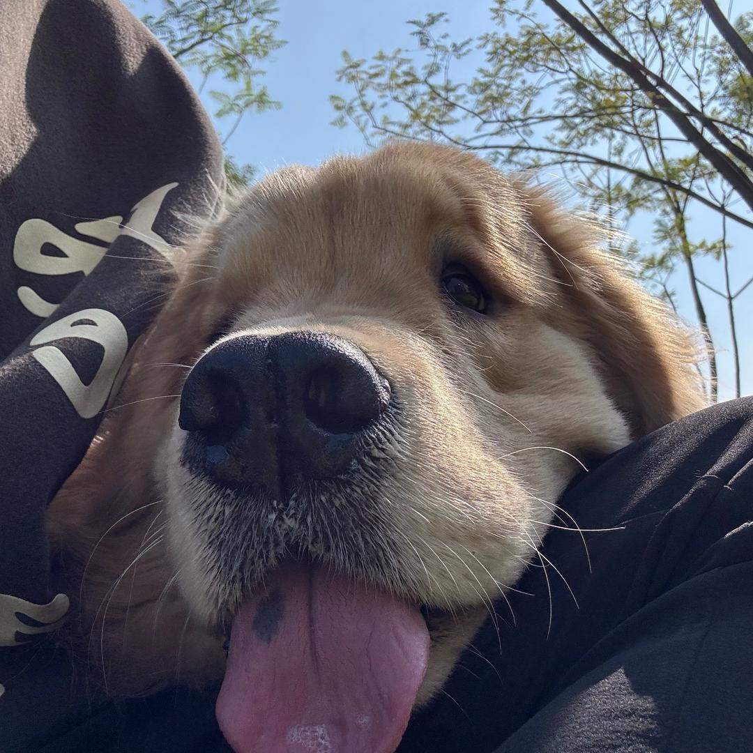 何满满（一辆金色传说）