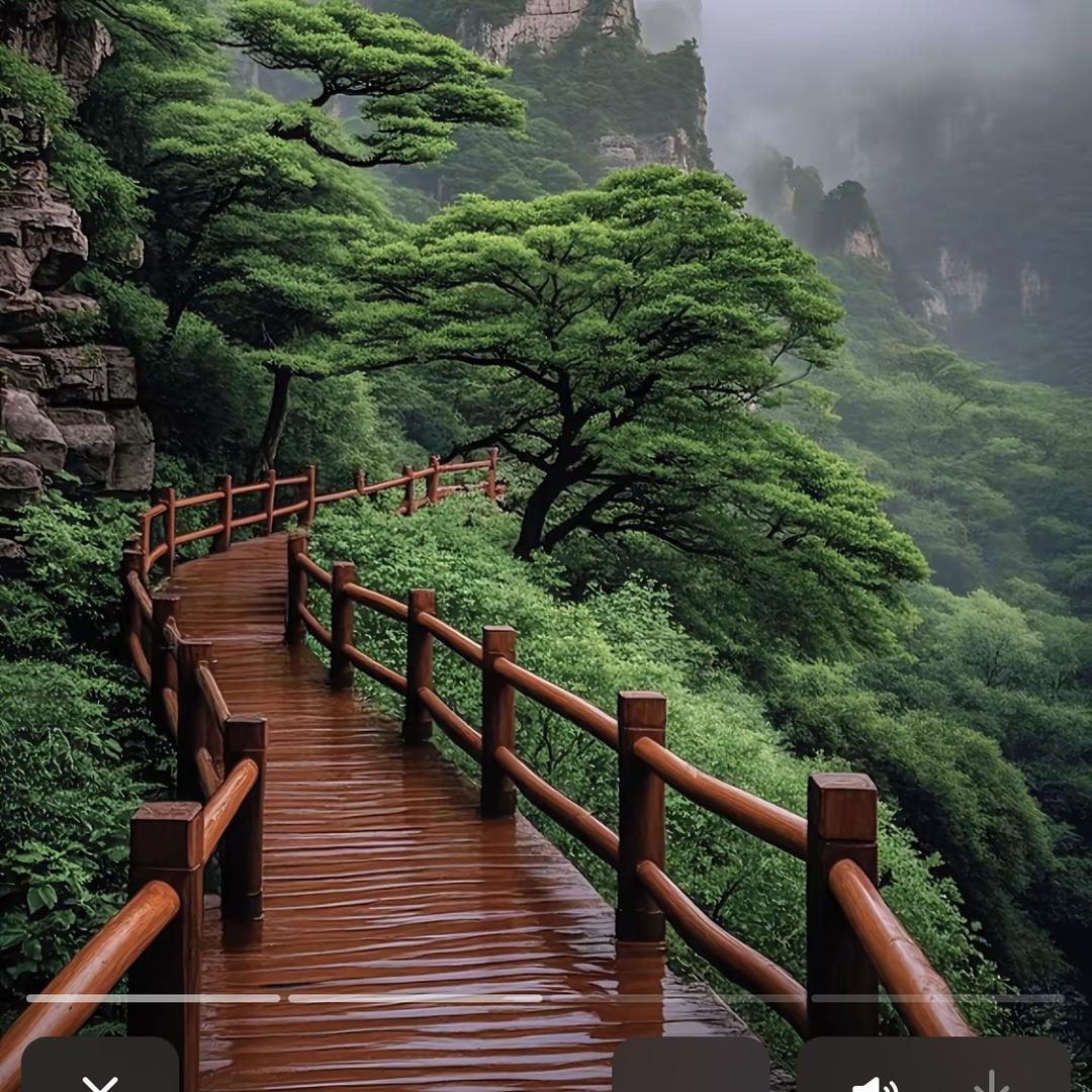 悠悠清