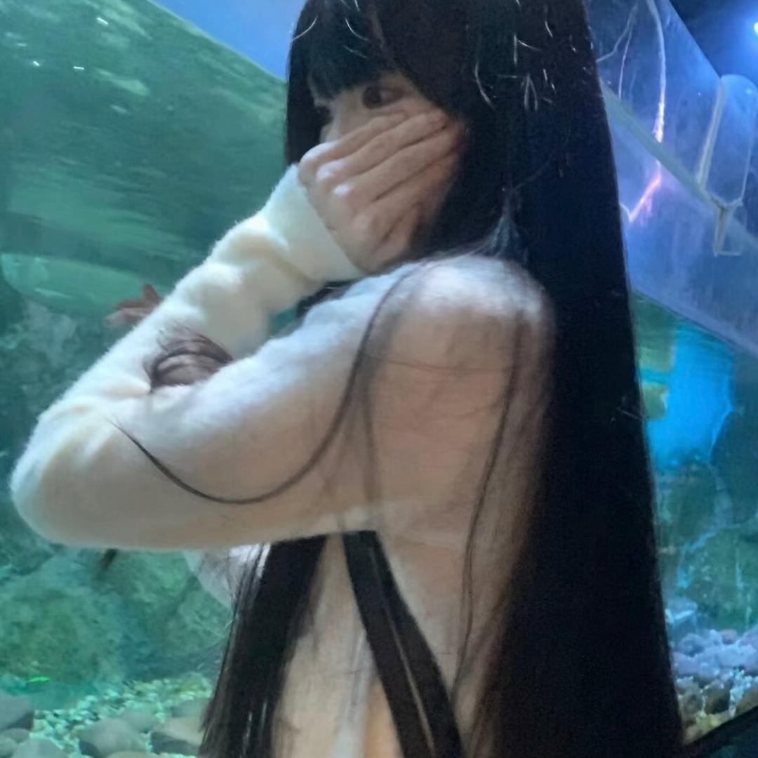 凌乱小猫