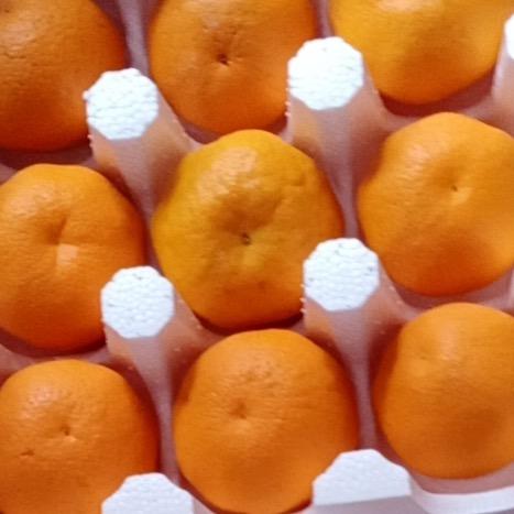 🍊耙耙柑🍊好甜⁹³⁹