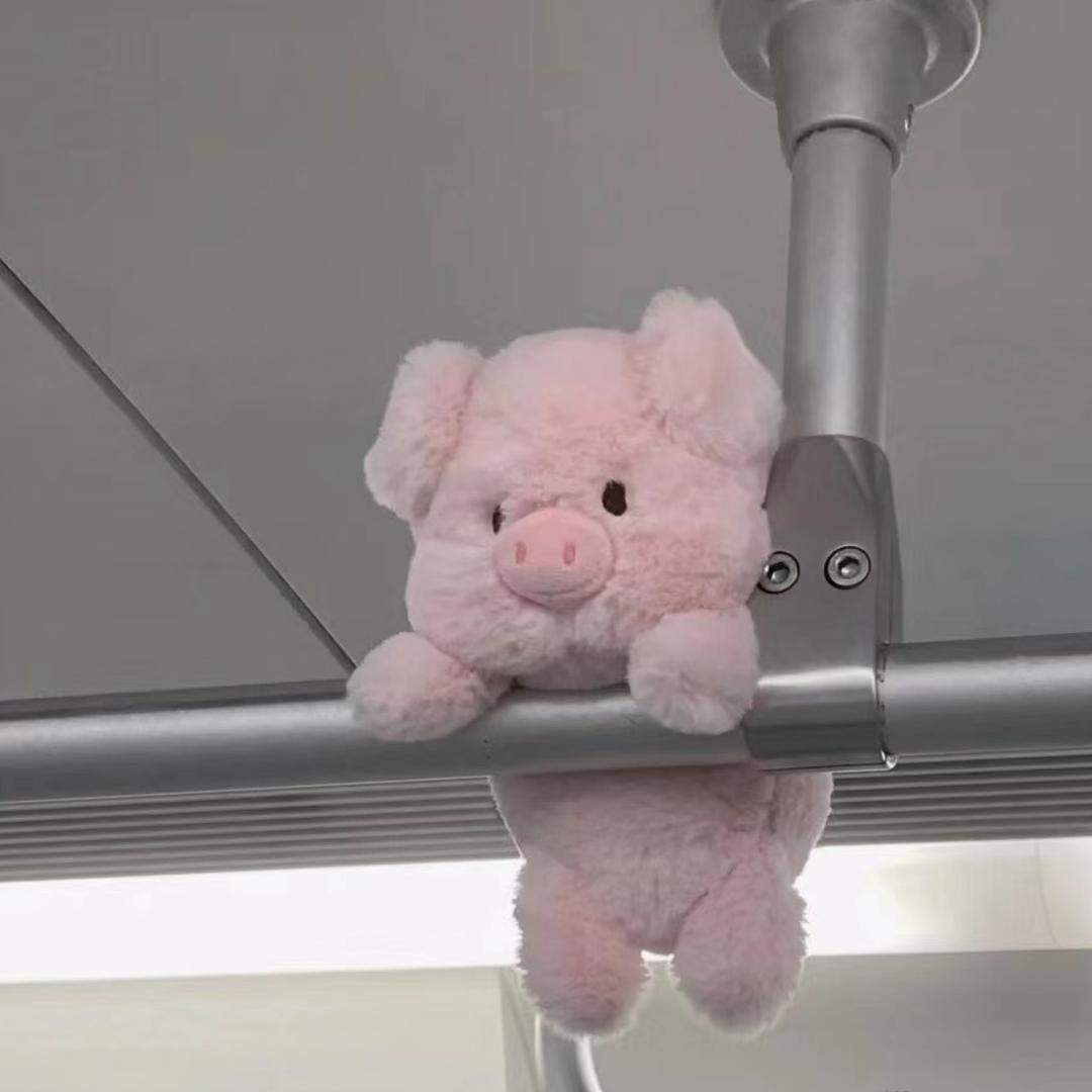 小朱在读研.