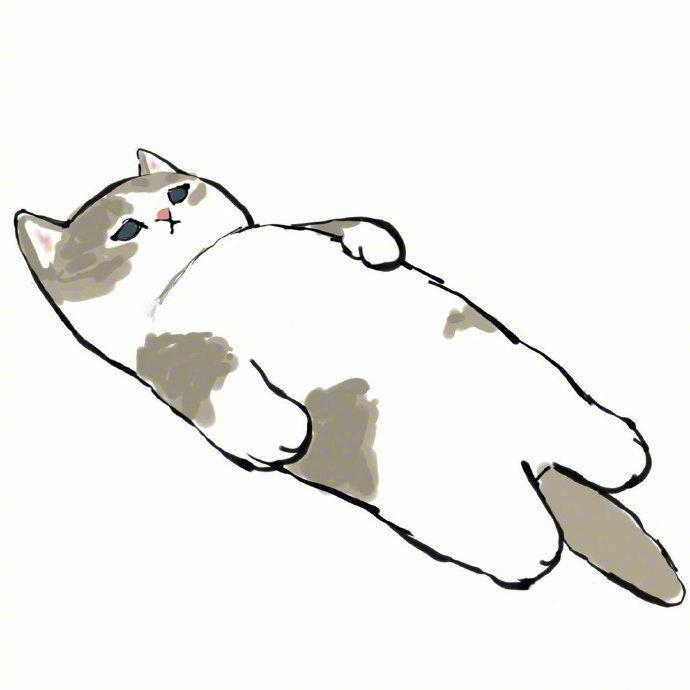 时空星辰～小武哥