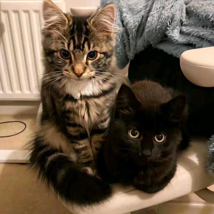 一口小枣点🐑²⁹