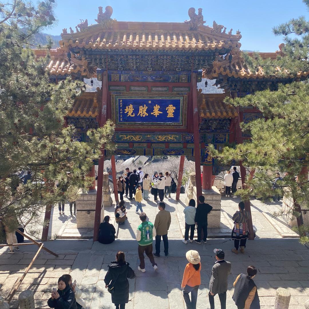 米斯特李