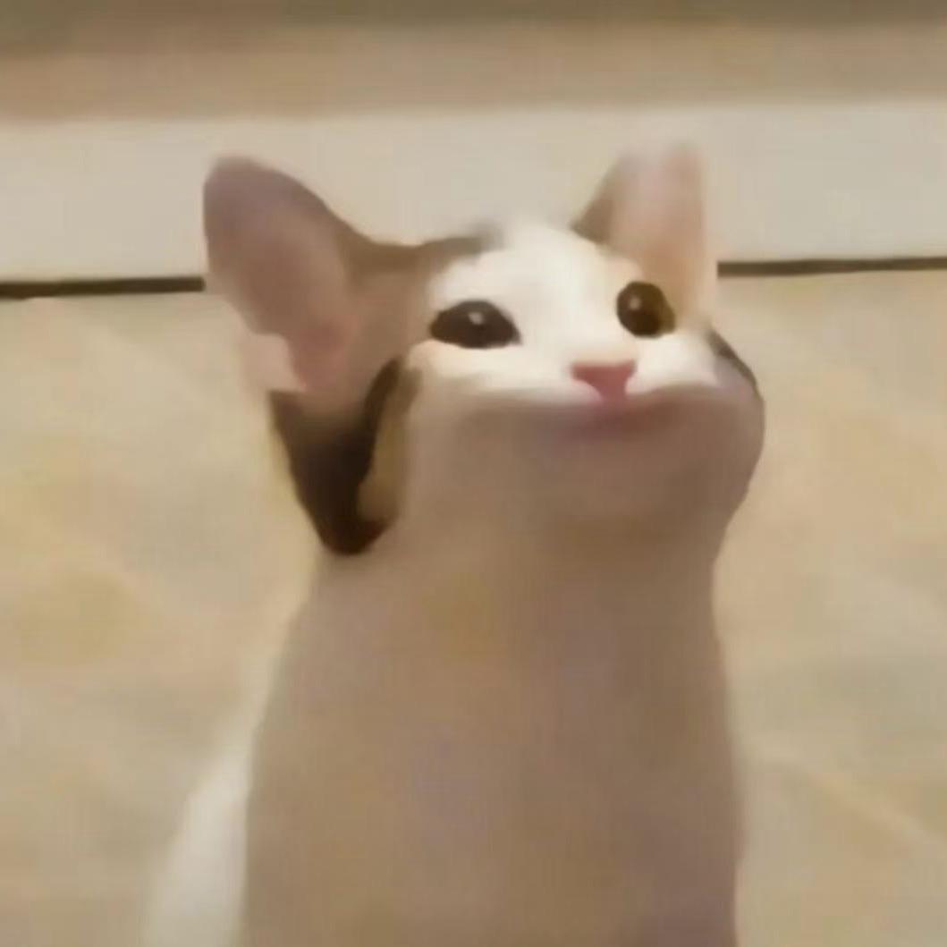 染荡.