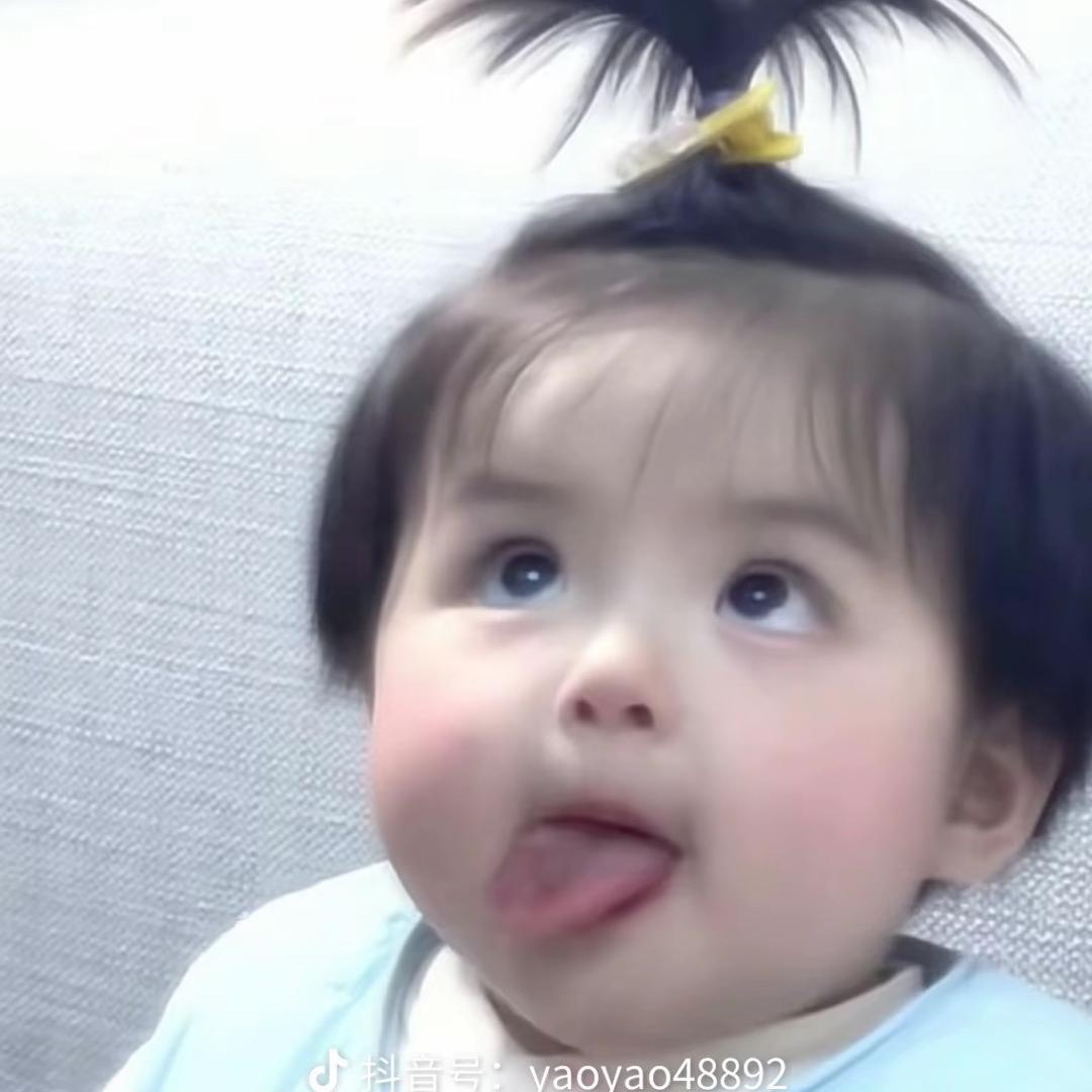 笨猪