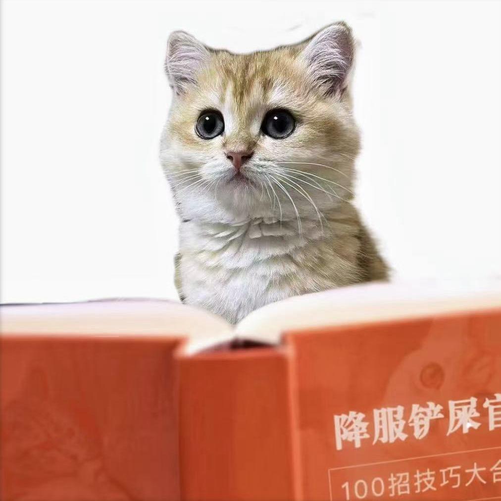 泡泡是只喵🐱