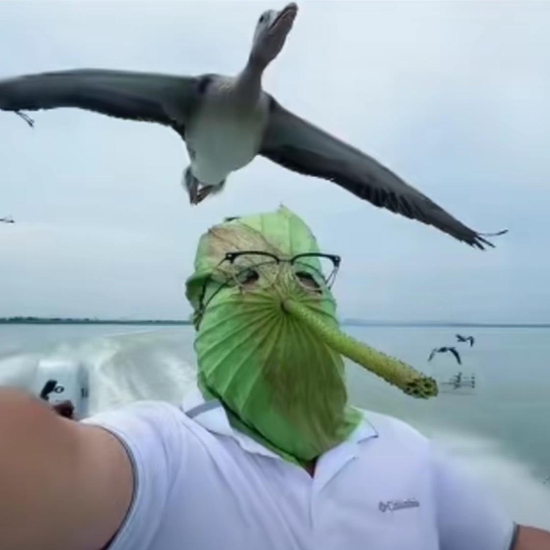 咳嗽药