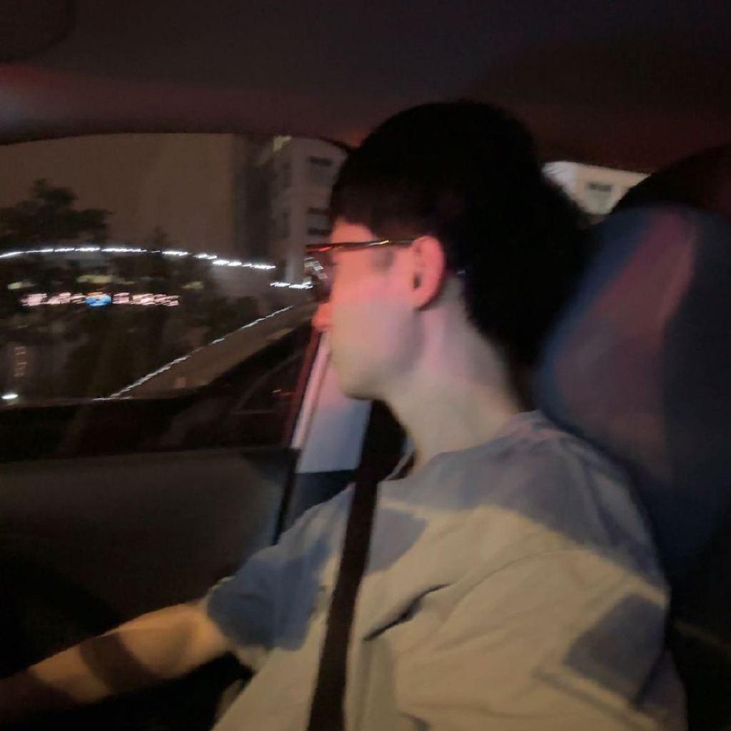 填鸭玩车