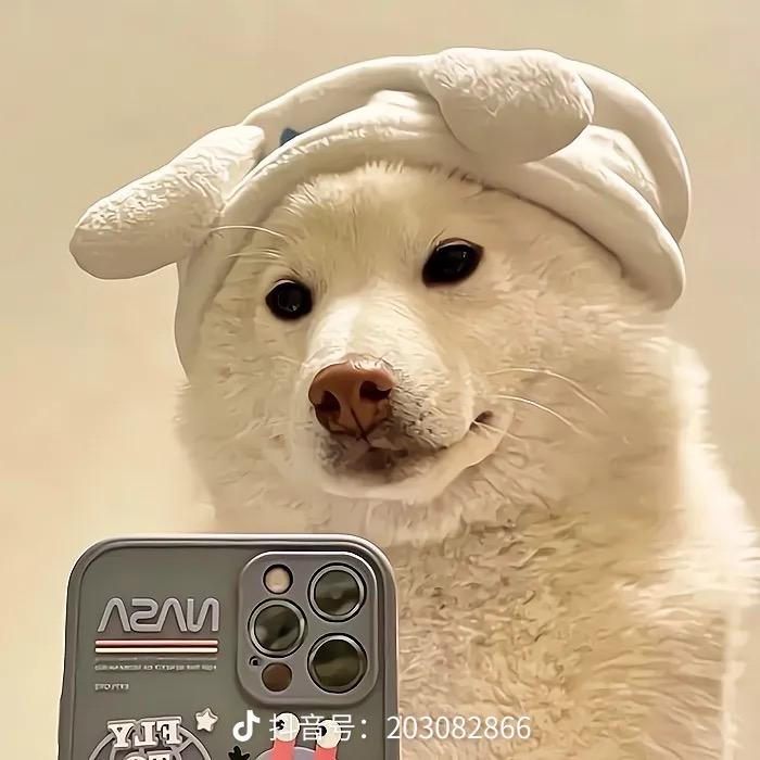 富贵的咸鱼