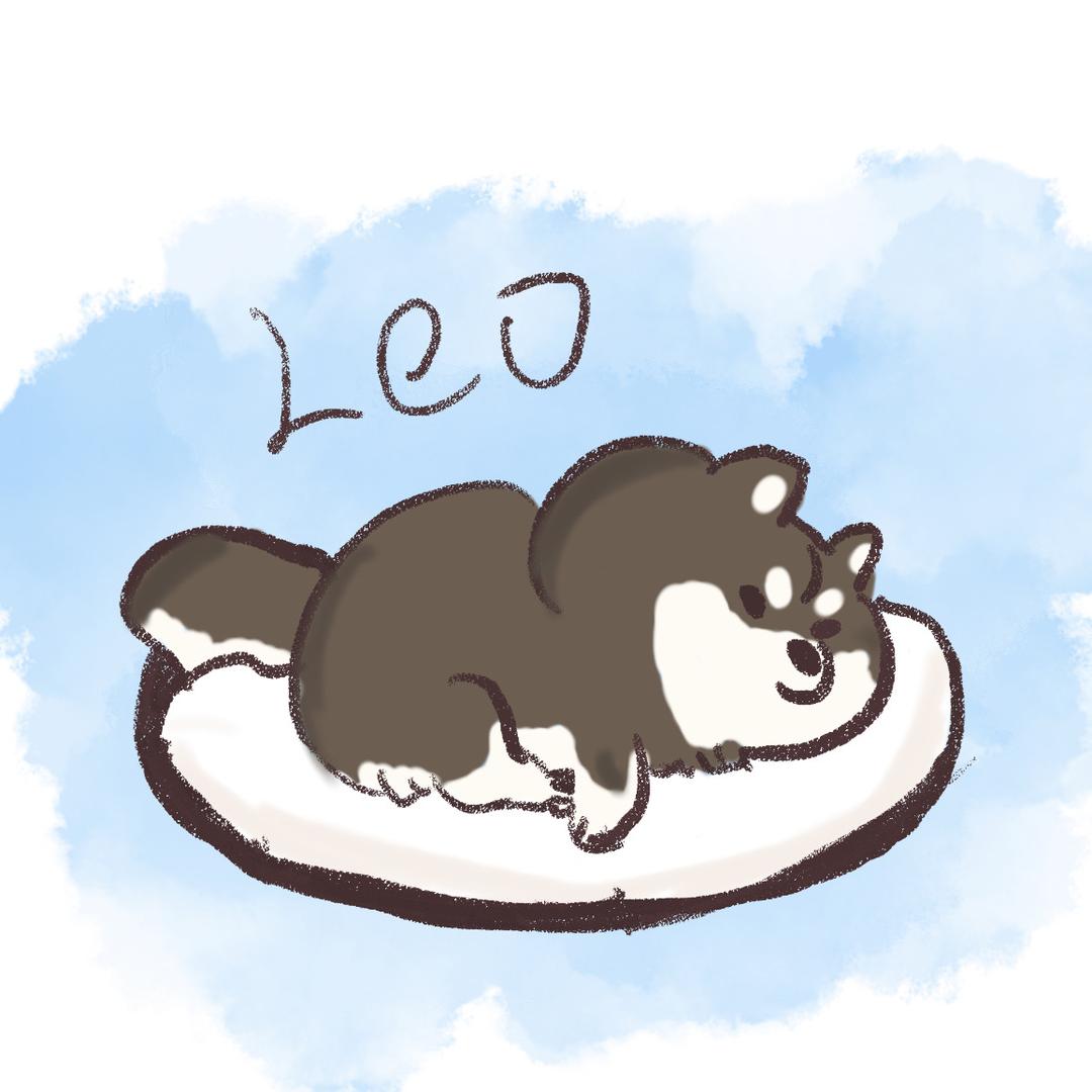Leo丶