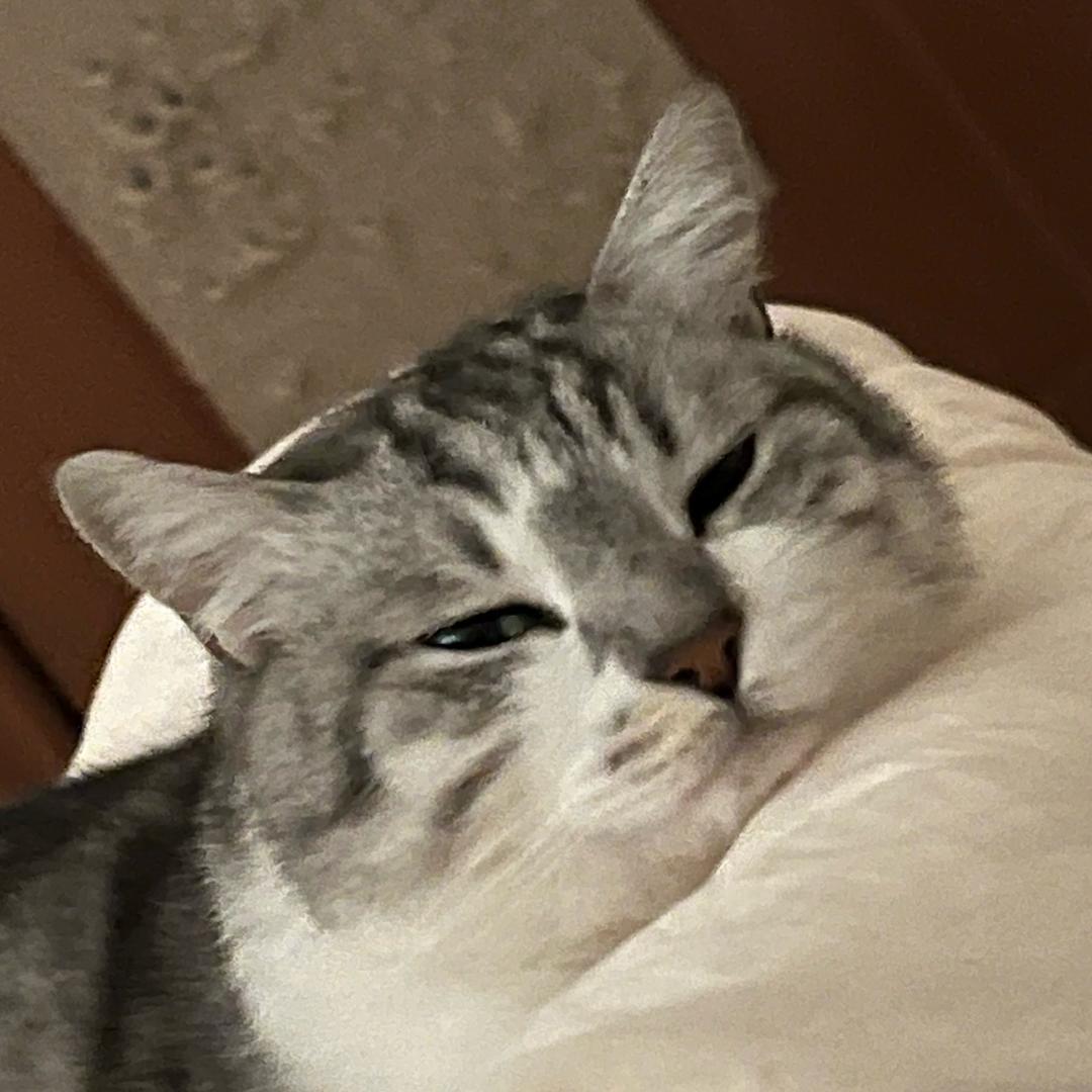 \