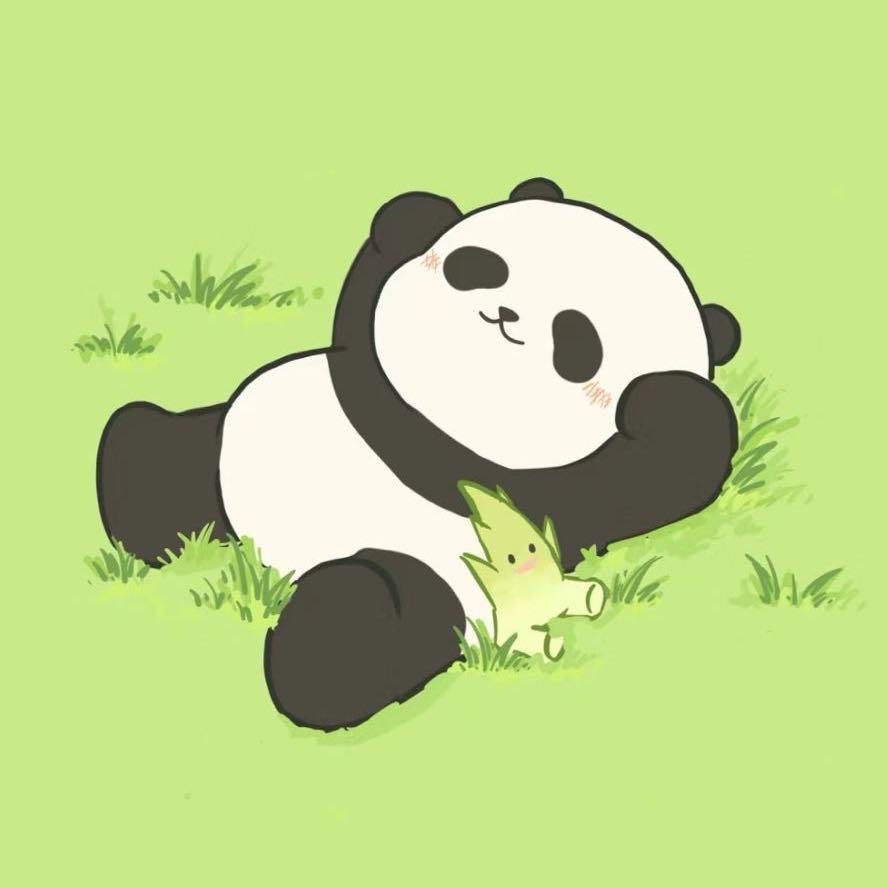 Cc伽伽