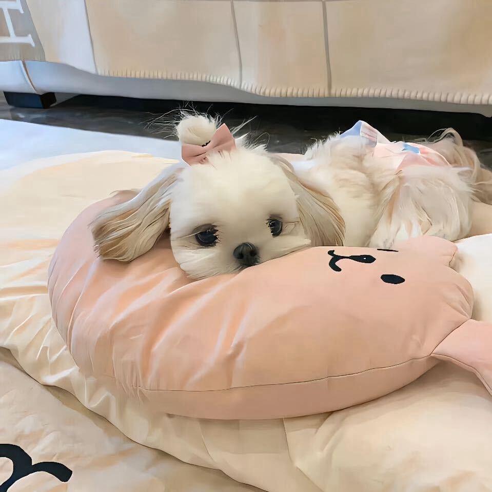冰冻