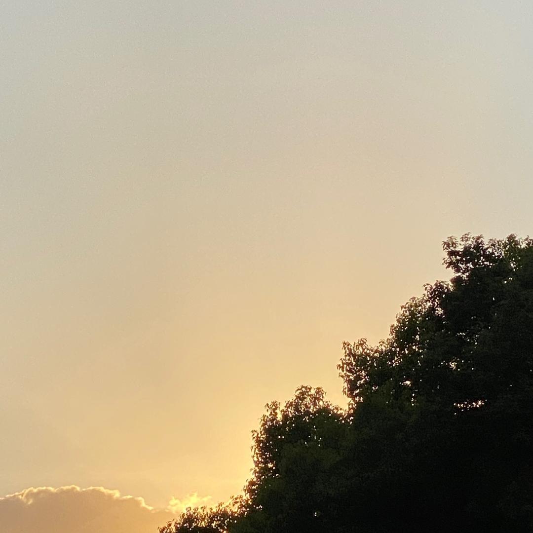 W.