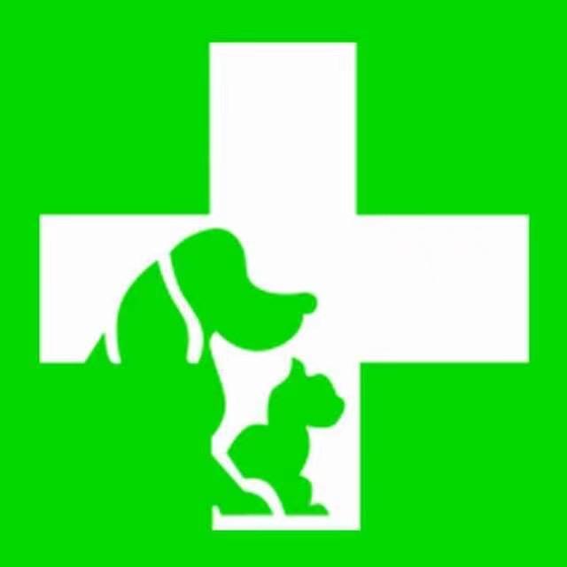 新兴动物医院