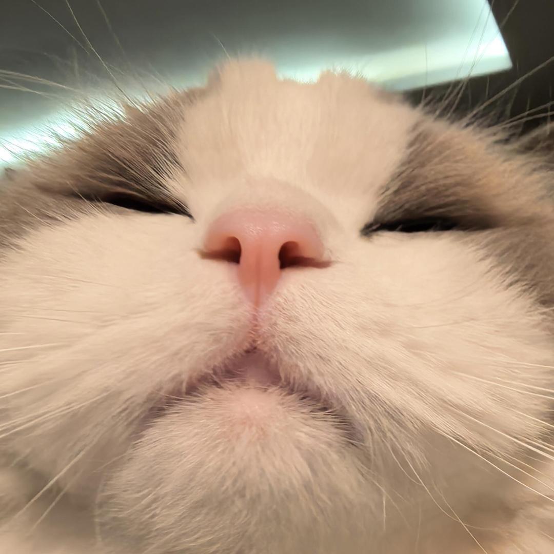 827