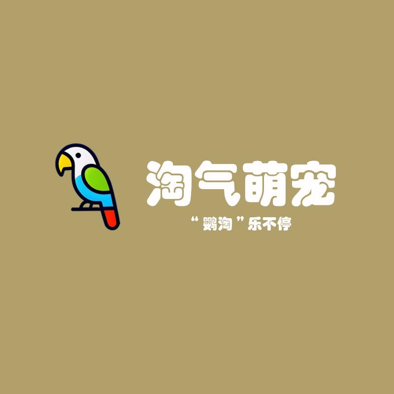 淘气萌宠牡丹鹦鹉