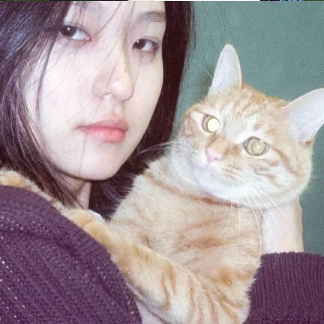 张张子