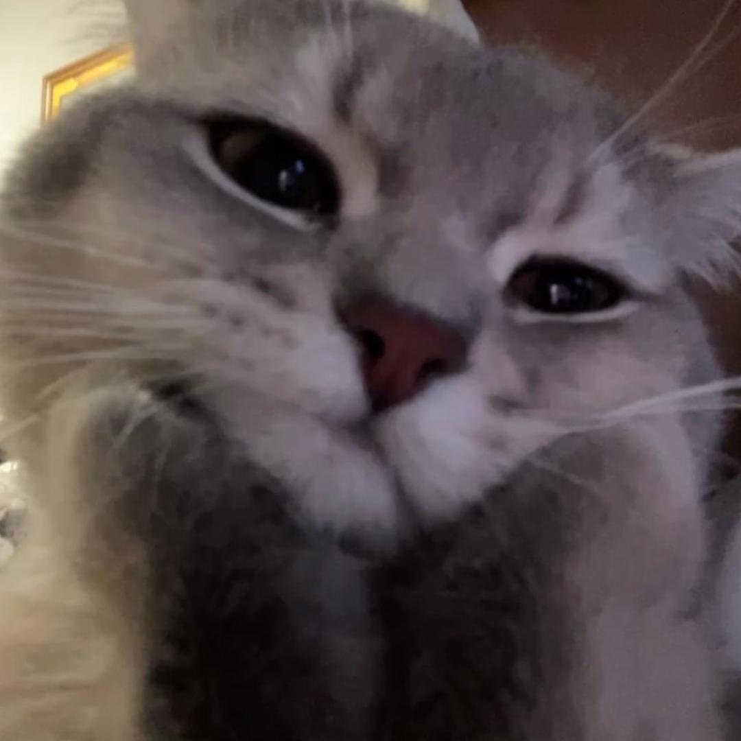 脱脂奶大王