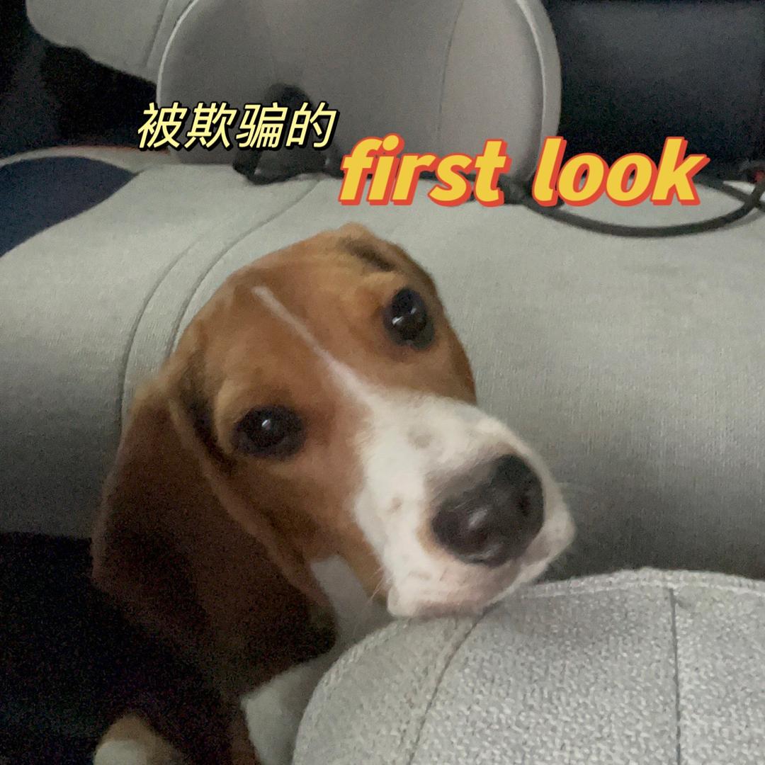 妈妈姐🌟(狗天气捡台风)