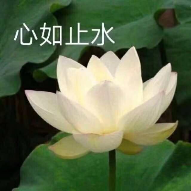 健健康康㽮
