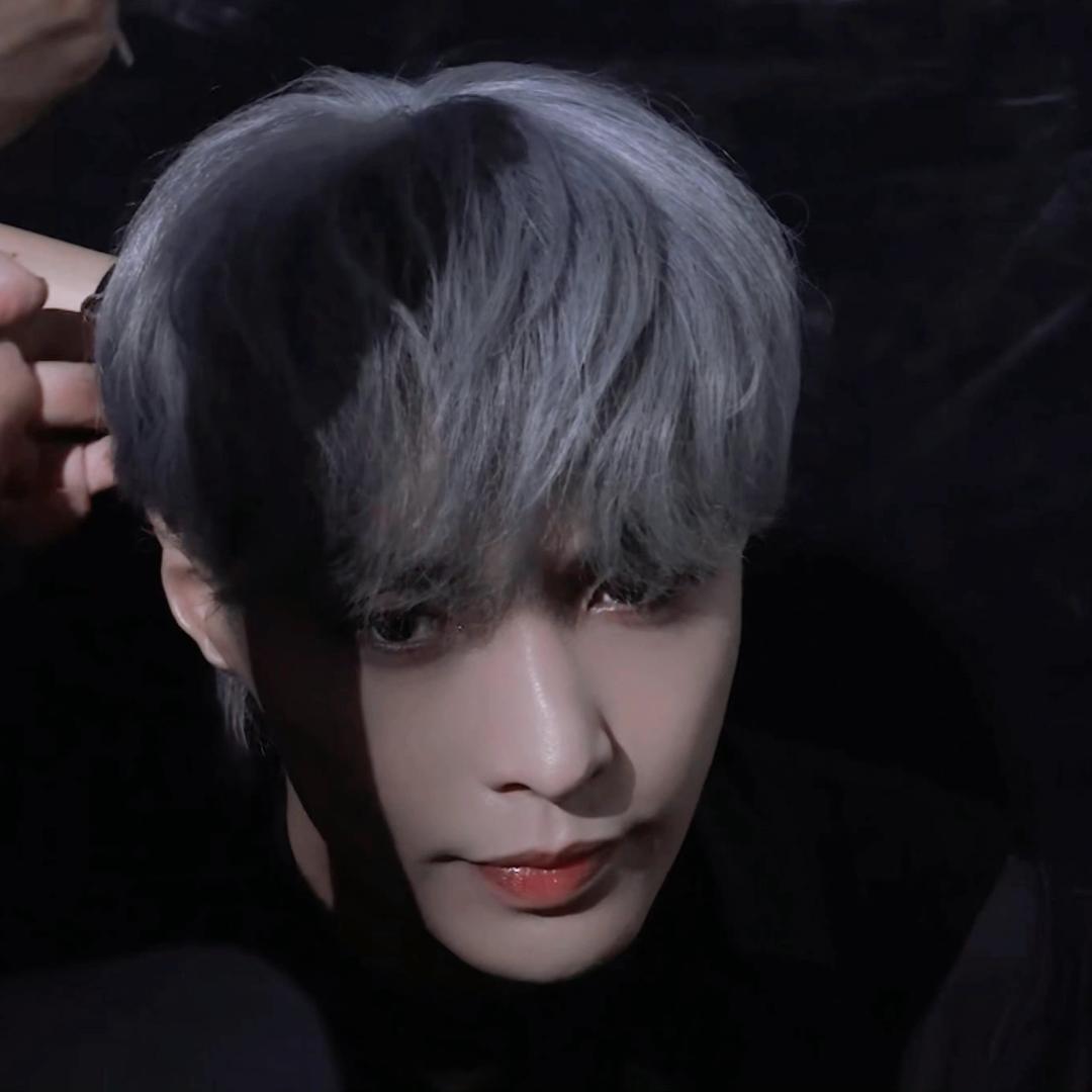 小羊🐑的贝壳🐚