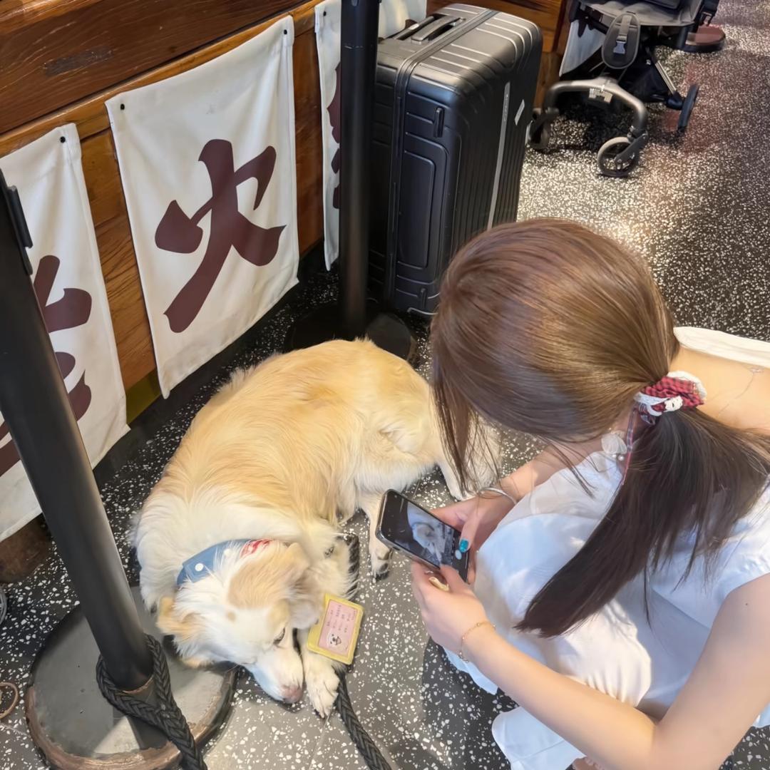 十点差三分🐾