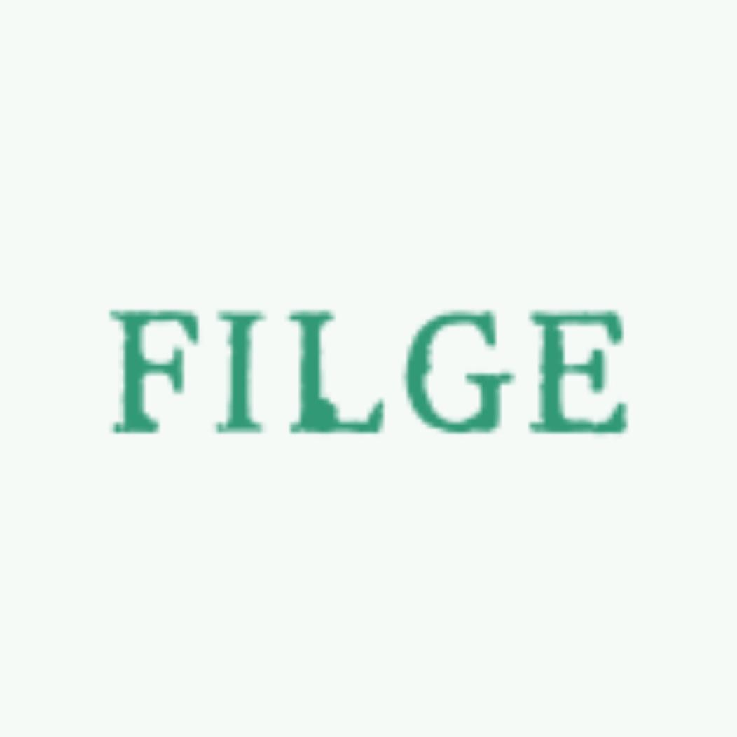 FILGE斐知数码相机