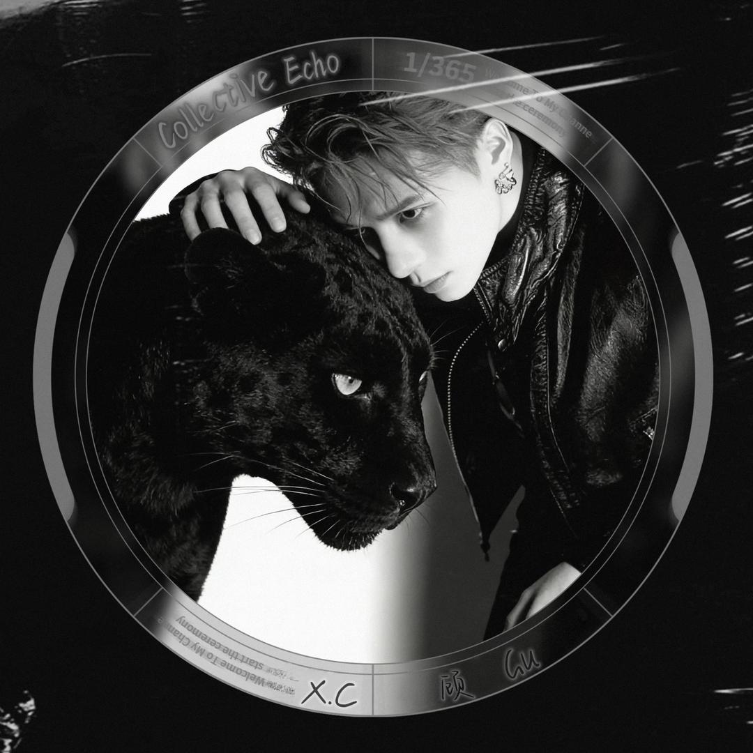 顾（.秋的小哈尼）