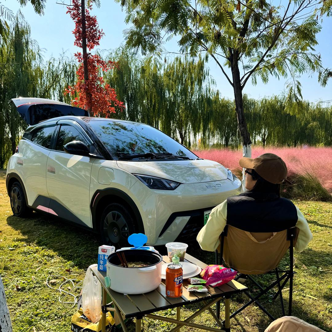 阿莉开海鸥🚗