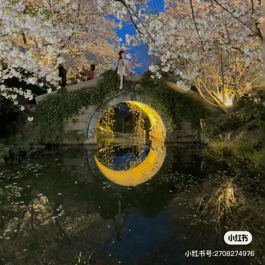 好运绵绵