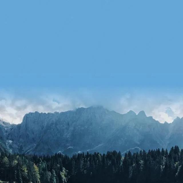 59589377784