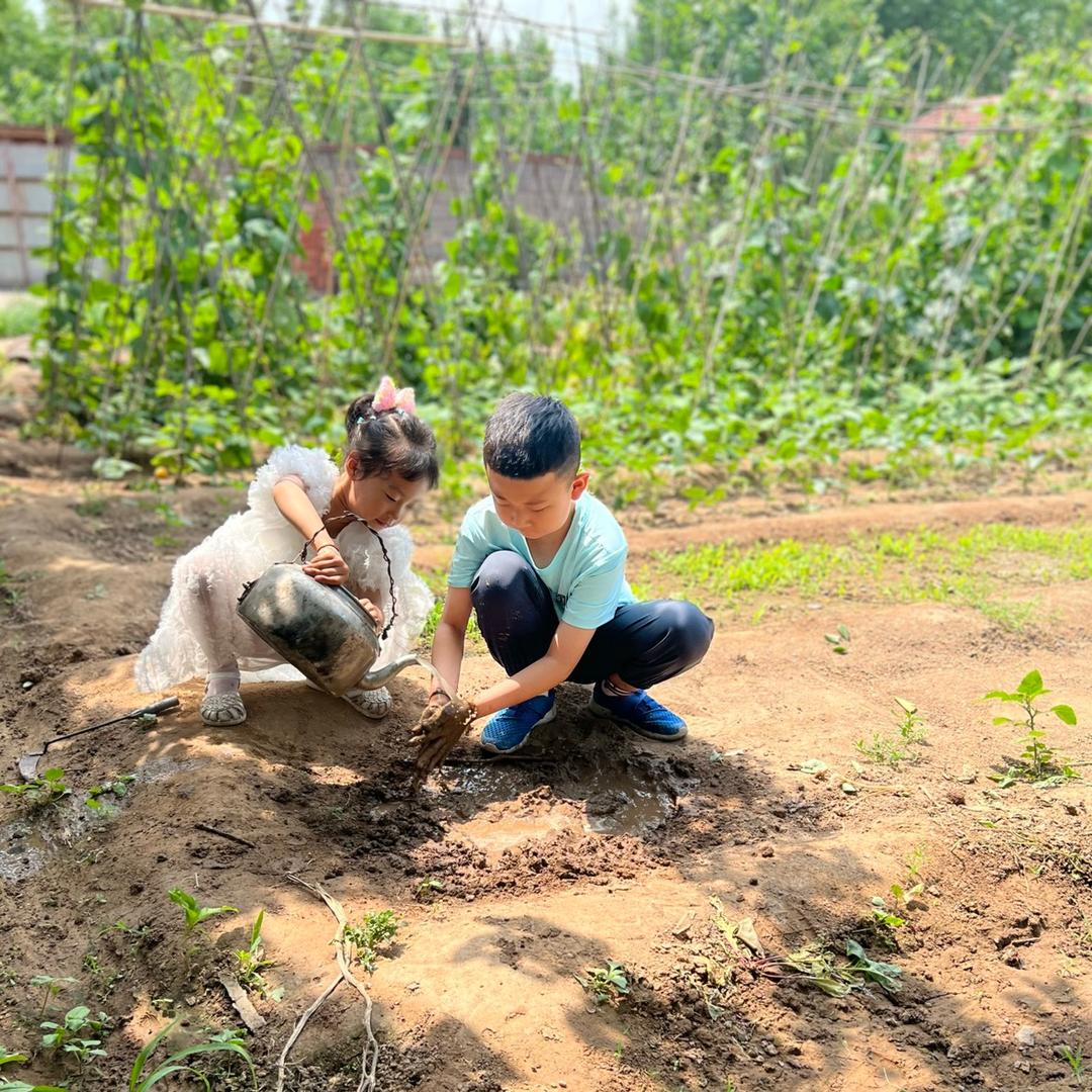 🌺陀螺妈妈