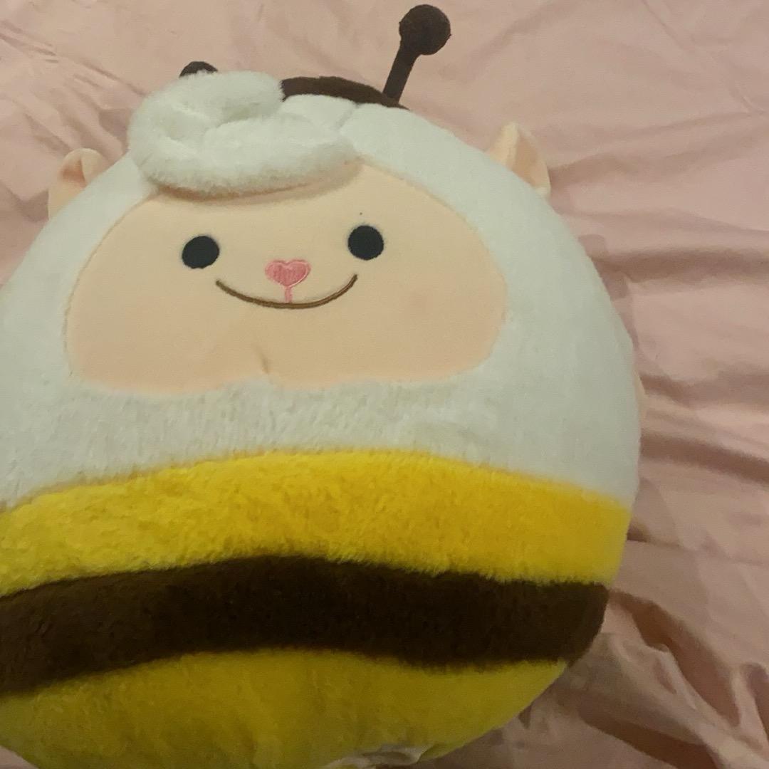 饭哥是个正常人