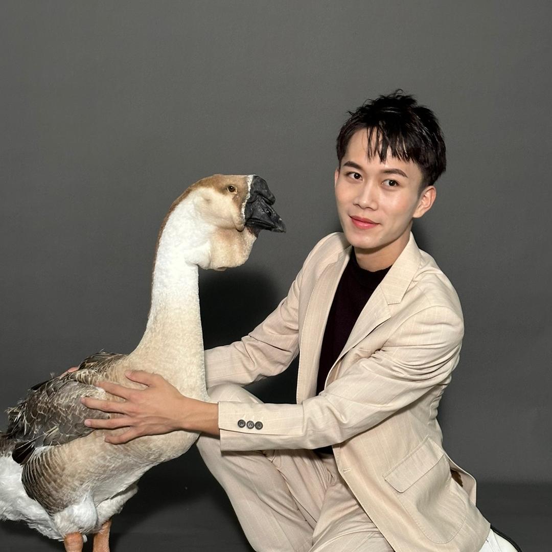 皇家狮头鹅