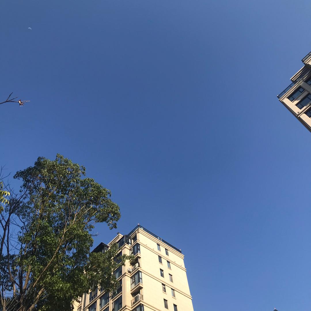 小开心