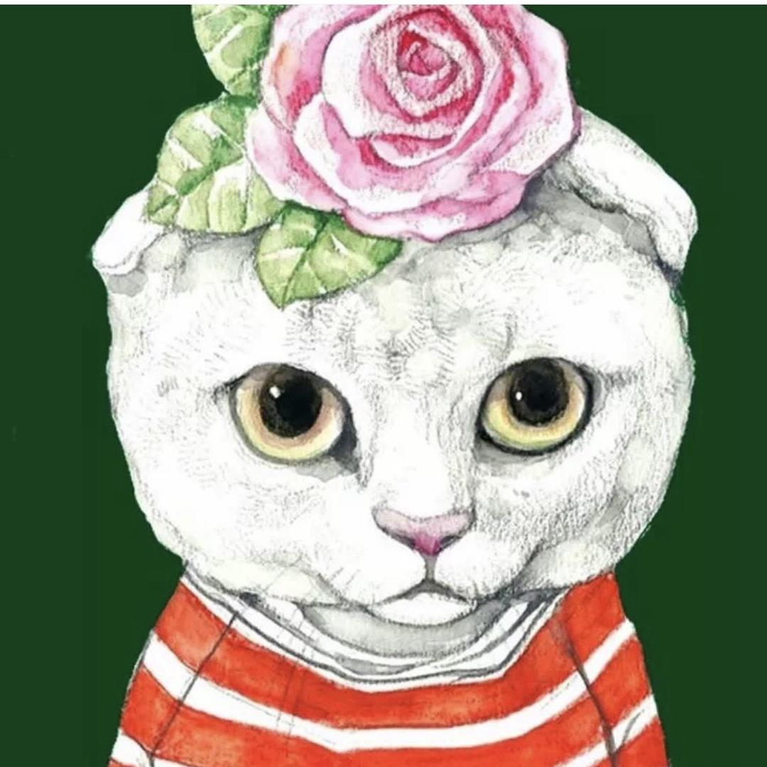 偶遇两只猫